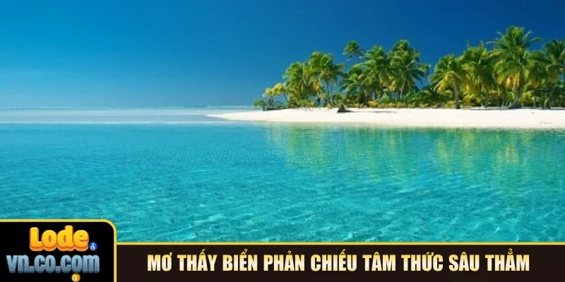 Mơ thấy biển phản chiếu tâm thức sâu thẳm